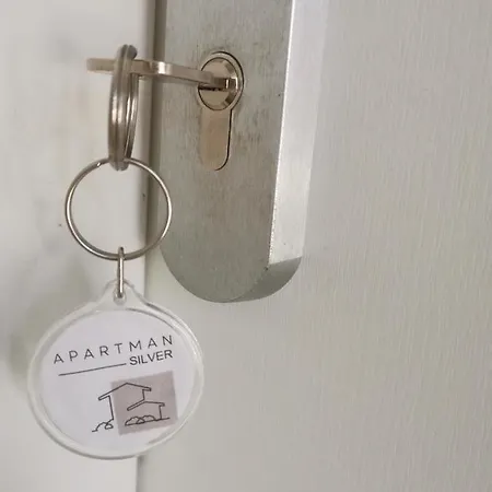 Apartment Silver Siofok